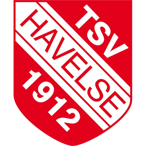 TSV Havelse vs Energie Cottbus: Analyzing the Over 2.5 Goals Trend
